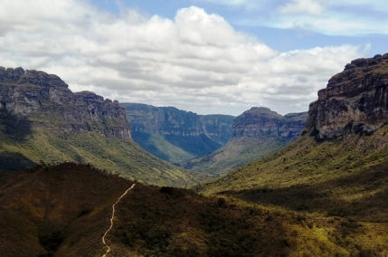 Bahia au volant